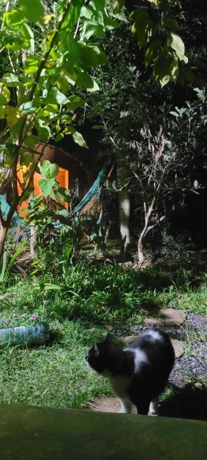 Tenda Da Lua Alto Paraíso de Goiás Kültér fotó