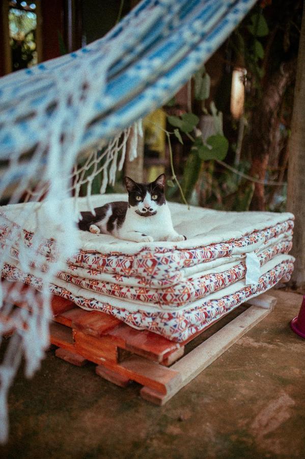 Tenda Da Lua Alto Paraíso de Goiás Kültér fotó